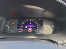 1000021733