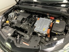 s146473480